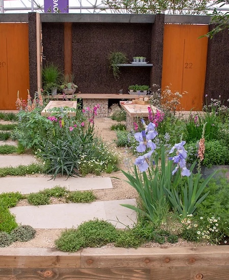 All about plants garden for the Chelsea Flower Show