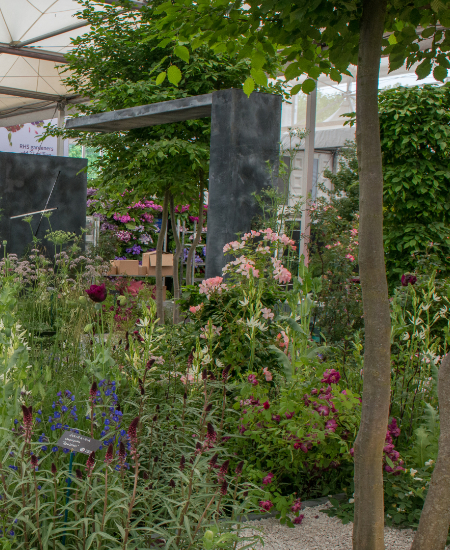 The Perennial Lifeline Garden for the Chelsea Flower Show